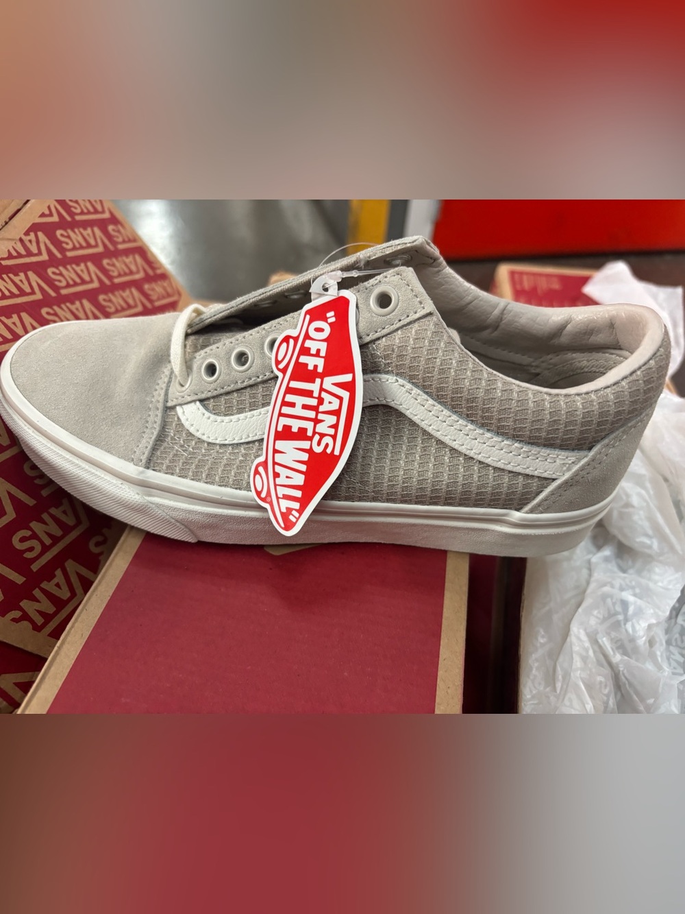 Vans Low-Top Sneaker in Light Gray and White
